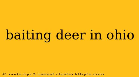 baiting deer in ohio