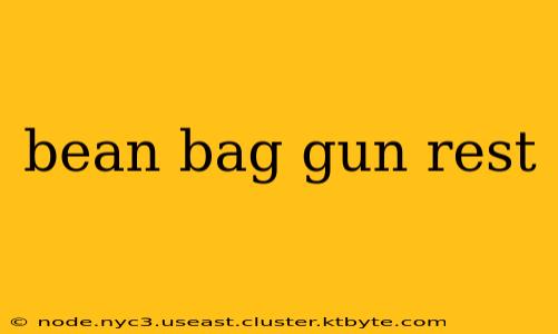 bean bag gun rest