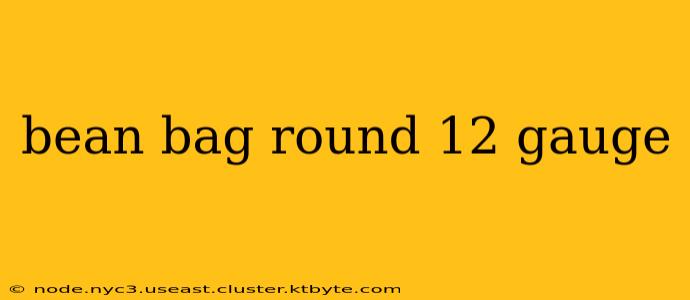 bean bag round 12 gauge