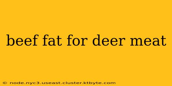 beef fat for deer meat