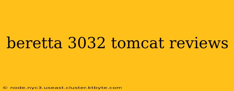 beretta 3032 tomcat reviews