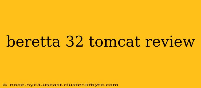 beretta 32 tomcat review