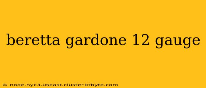 beretta gardone 12 gauge