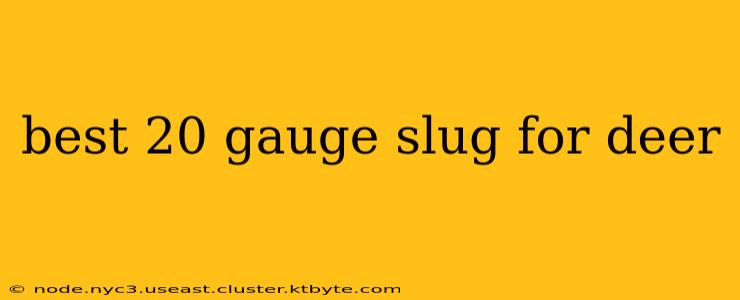 best 20 gauge slug for deer