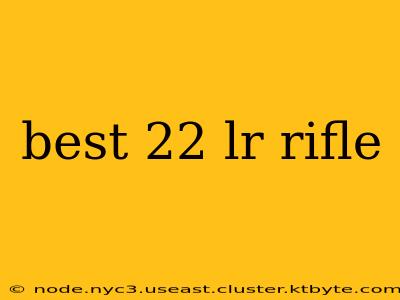 best 22 lr rifle