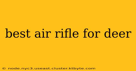 best air rifle for deer