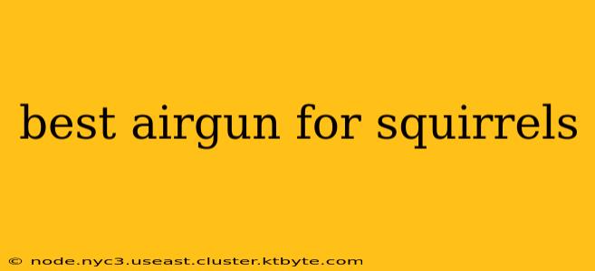 best airgun for squirrels