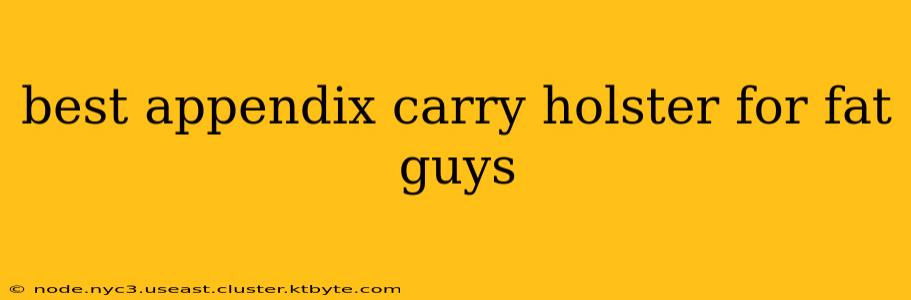 best appendix carry holster for fat guys