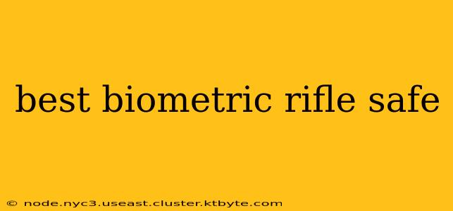 best biometric rifle safe