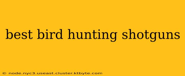 best bird hunting shotguns