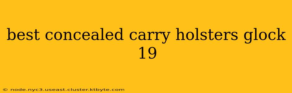 best concealed carry holsters glock 19