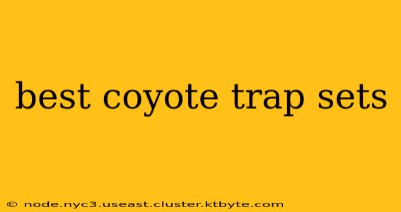 best coyote trap sets