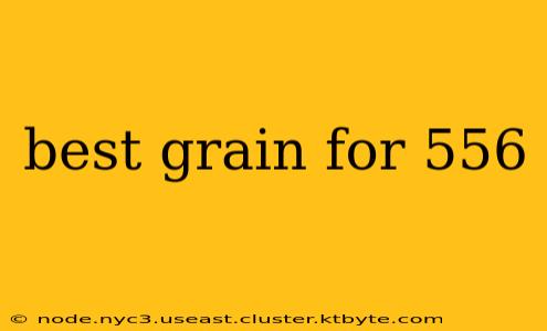 best grain for 556