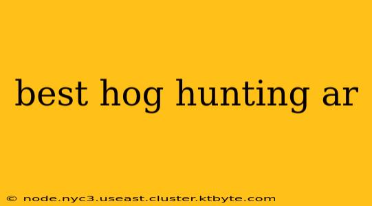 best hog hunting ar