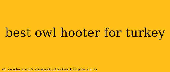 best owl hooter for turkey