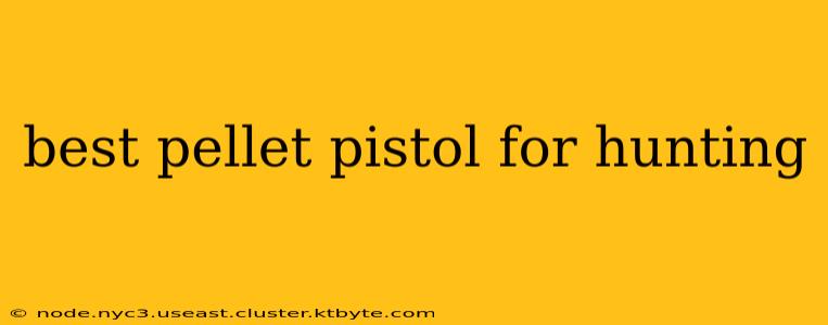 best pellet pistol for hunting