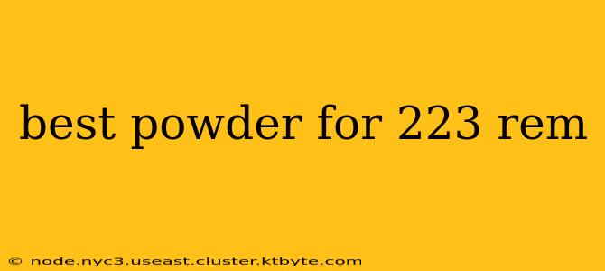 best powder for 223 rem