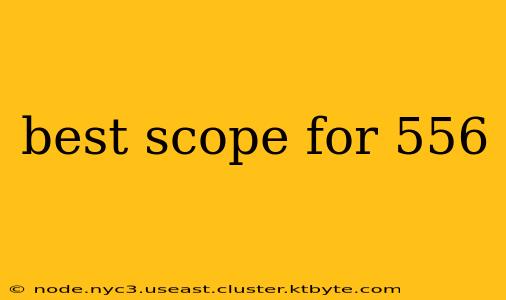 best scope for 556