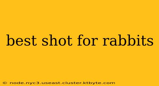 best shot for rabbits