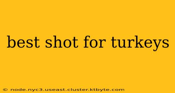 best shot for turkeys