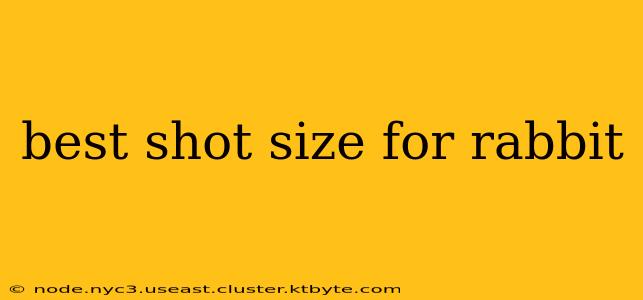 best shot size for rabbit