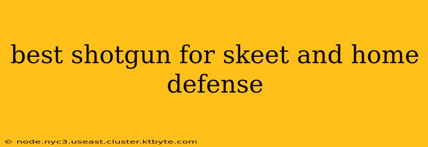 best shotgun for skeet and home defense