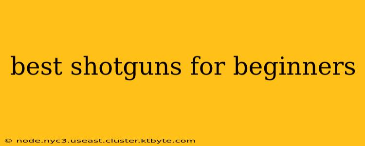 best shotguns for beginners