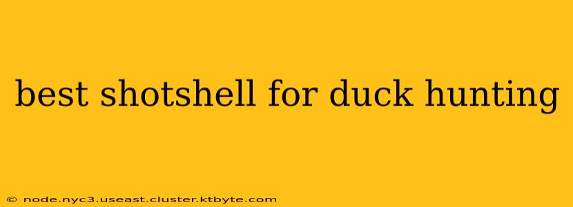 best shotshell for duck hunting