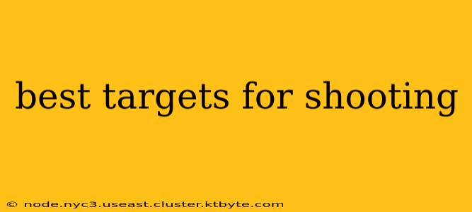 best targets for shooting