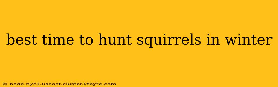 best time to hunt squirrels in winter