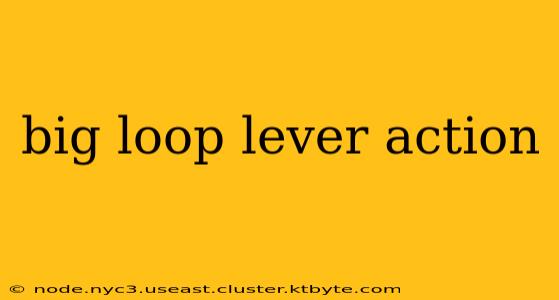 big loop lever action