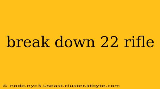 break down 22 rifle