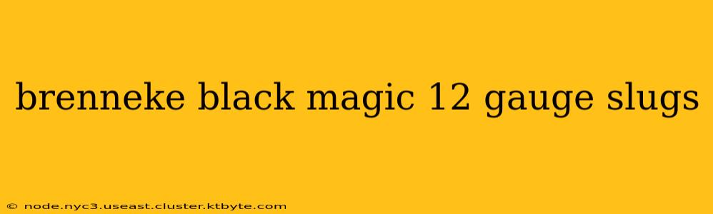 brenneke black magic 12 gauge slugs