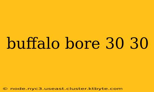 buffalo bore 30 30