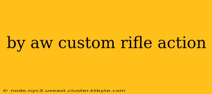 by aw custom rifle action