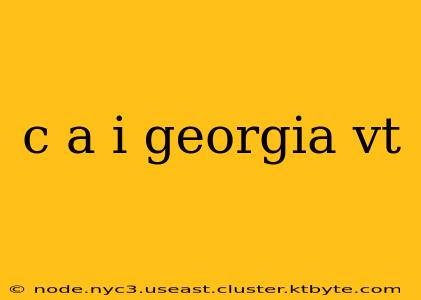 c a i georgia vt