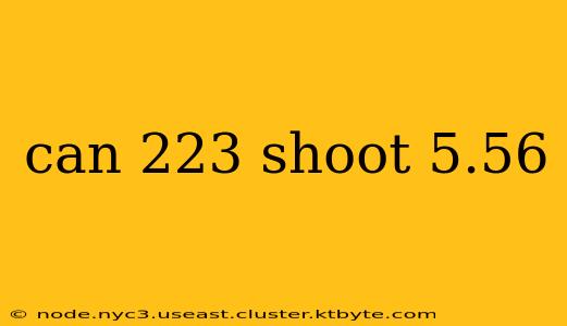 can 223 shoot 5.56