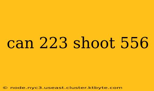 can 223 shoot 556