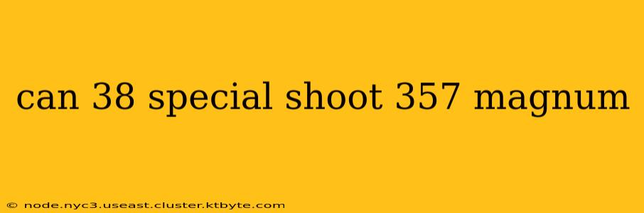 can 38 special shoot 357 magnum