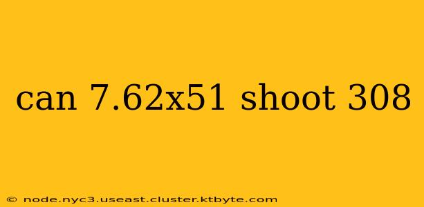 can 7.62x51 shoot 308