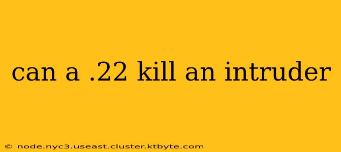 can a .22 kill an intruder