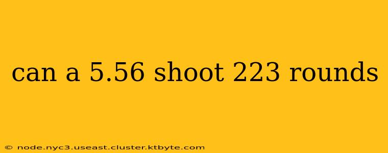 can a 5.56 shoot 223 rounds