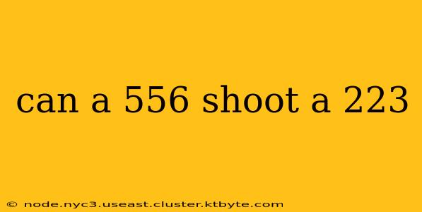 can a 556 shoot a 223