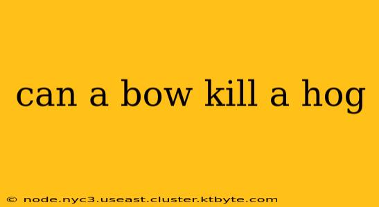 can a bow kill a hog