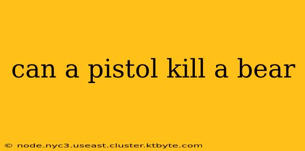 can a pistol kill a bear