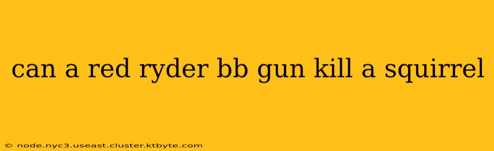 can a red ryder bb gun kill a squirrel