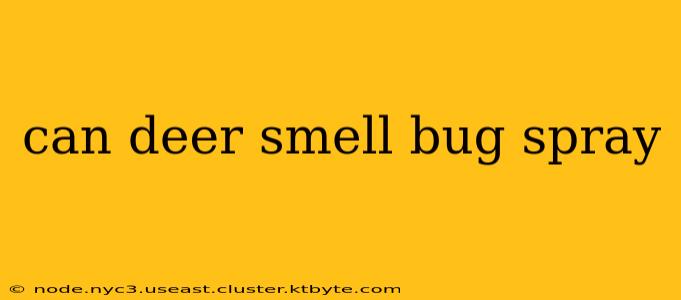 can deer smell bug spray