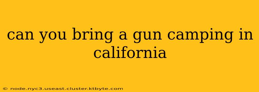 can you bring a gun camping in california