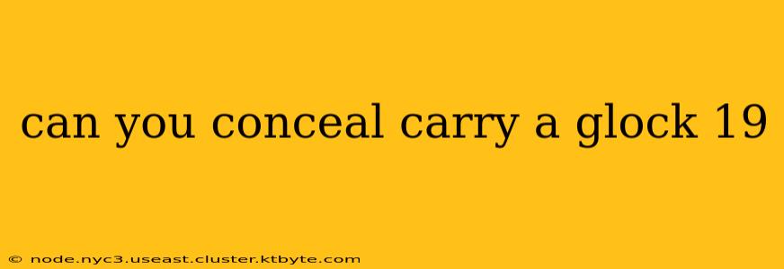 can you conceal carry a glock 19