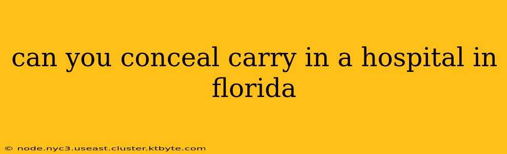 can you conceal carry in a hospital in florida